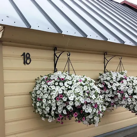 Koidula Pesa Дом отдыха *