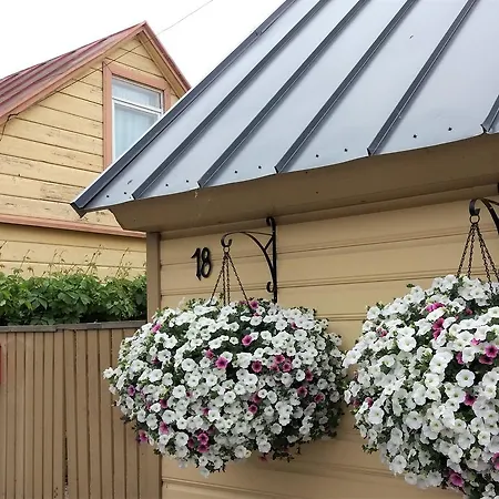 Koidula Pesa Haapsalu