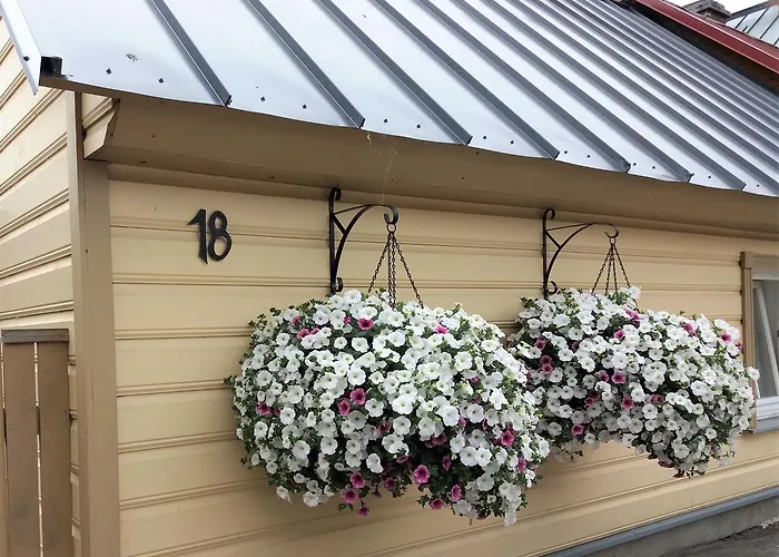 Koidula Pesa Dom wakacyjny *