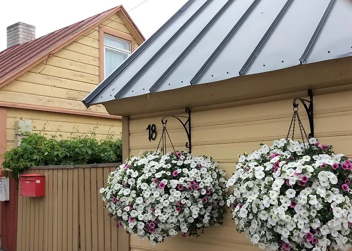 Koidula Pesa Haapsalu